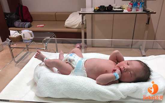 【公立医院供卵流程】顺产七斤八两男宝，一天一夜一上午难产都过去了（下）